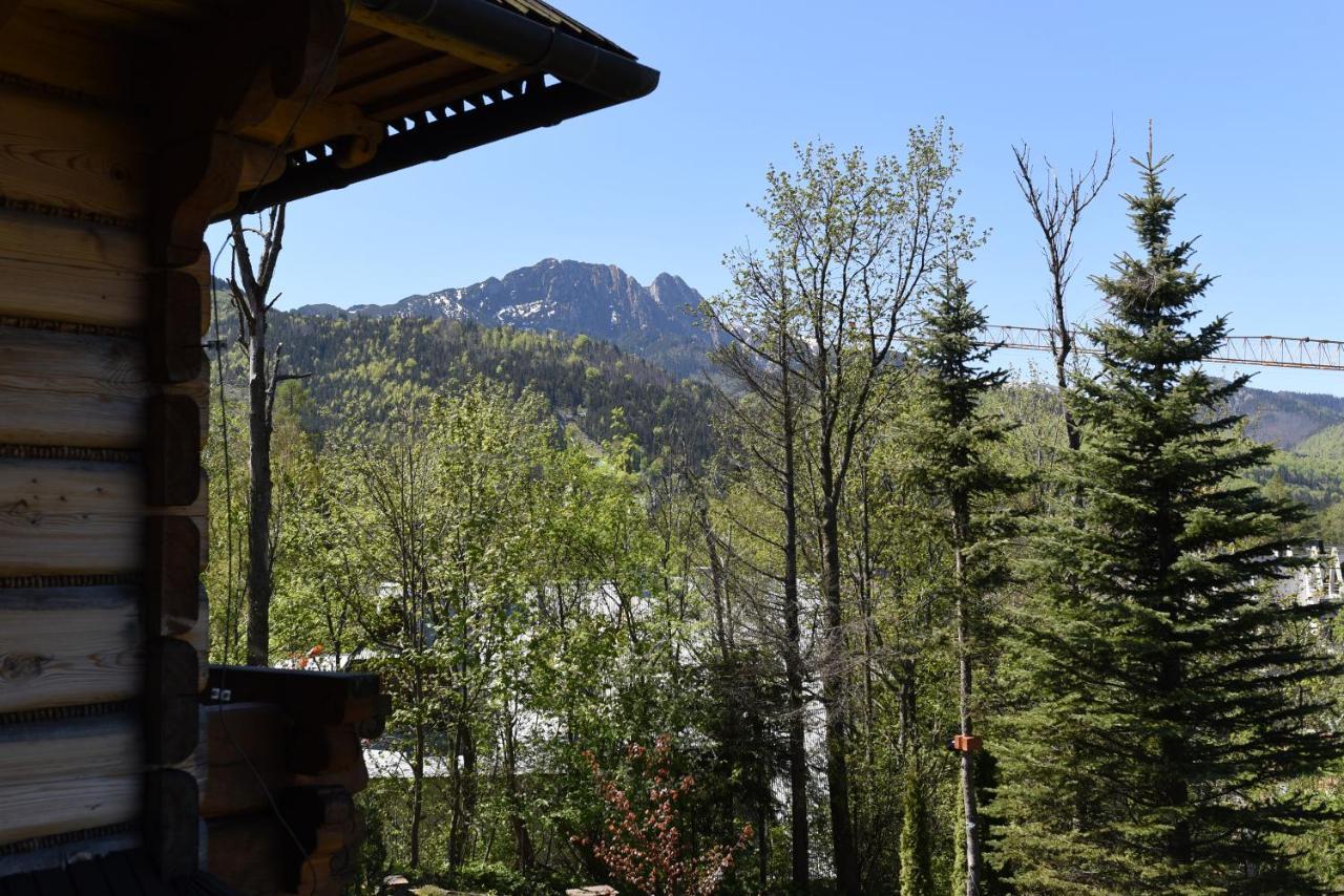 Willa Wojciechowo Zakopane Ngoại thất bức ảnh