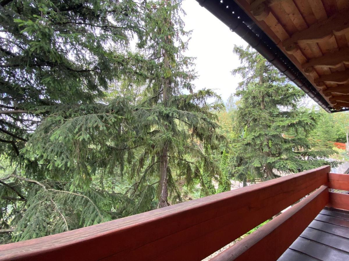 Willa Wojciechowo Zakopane Ngoại thất bức ảnh