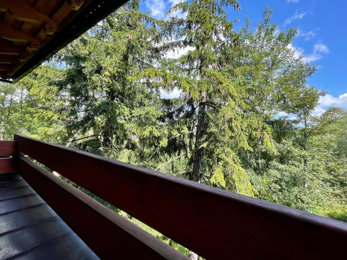 Willa Wojciechowo Zakopane Ngoại thất bức ảnh