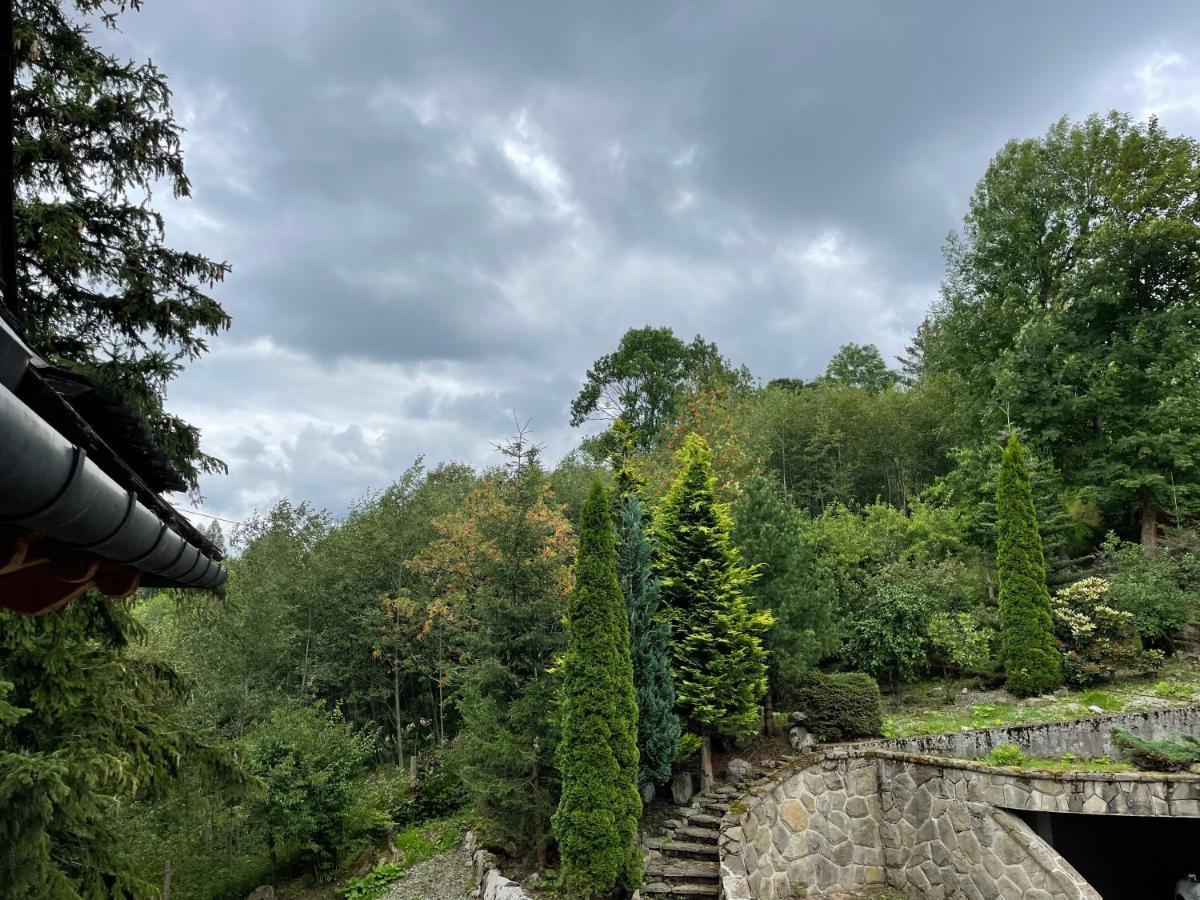 Willa Wojciechowo Zakopane Ngoại thất bức ảnh